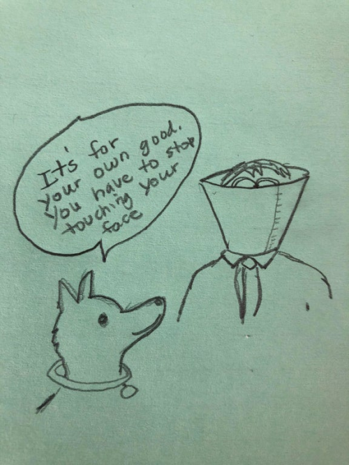 keeplaughing:  Cone of Shame via /r/funny