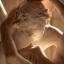 cupidoepsiche