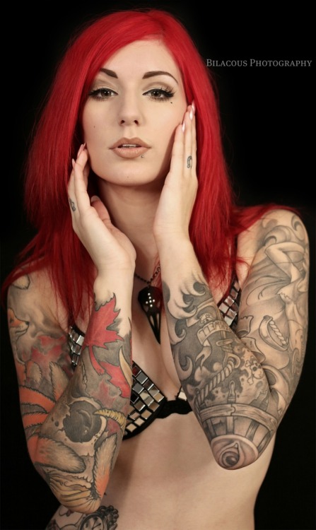 Cervena Fox