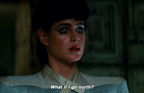 sci-fi-gifs:Sean Young and Harrison Ford in Blade Runner (1982)