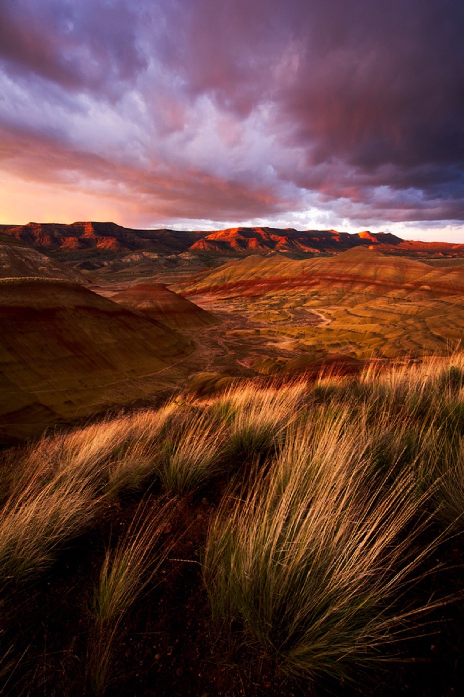 sublim-ature:  Painted Hills, OregonAlex Mody 