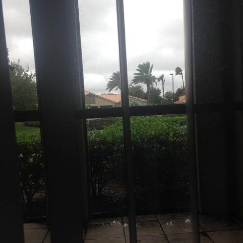 Hurricane update - still super gusty and windy outside, you can tell from the palm trees. Power is h