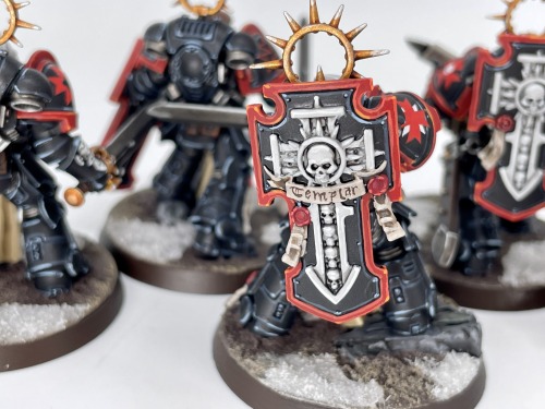 Black Templars Bladeguard Veterans, extremely detail-intensive models but I’m happy with how they ca