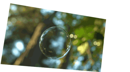 consortianet: What Bubble?