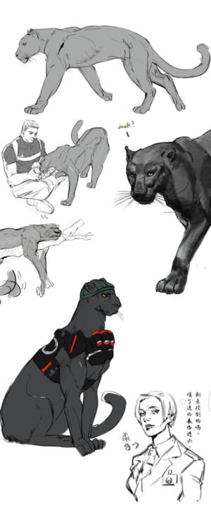 Well this are some design for pantherAU. In this AU,Gabrielreyes is a black panther? And Jack morris