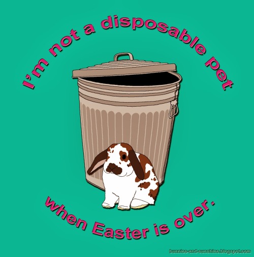 ludicrouscupcake: babblingbug: (Bunnies and Sunshine) Easter is coming up! And it’s a terrible