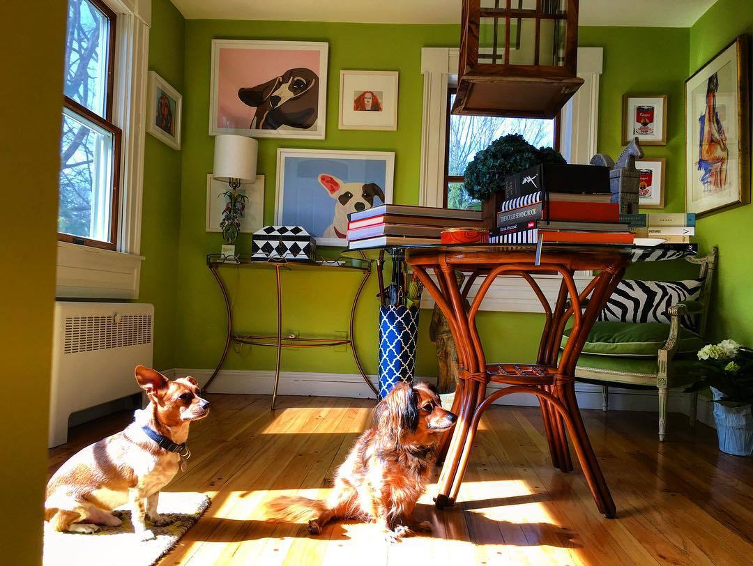 csiriano:  These guys just love the sunlight! #weekend #Easter #sirianohome