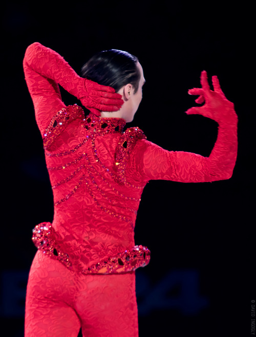 Gallery: ’Tis the Season… | Binky’s @JohnnyGWeir Blog http://binxblog.com/1RCkGto. Gorgeous a