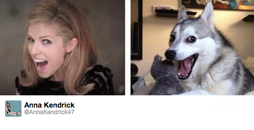 pottergirl05:  The fifteen tweets that will make you love Anna Kendrick as much as I do.