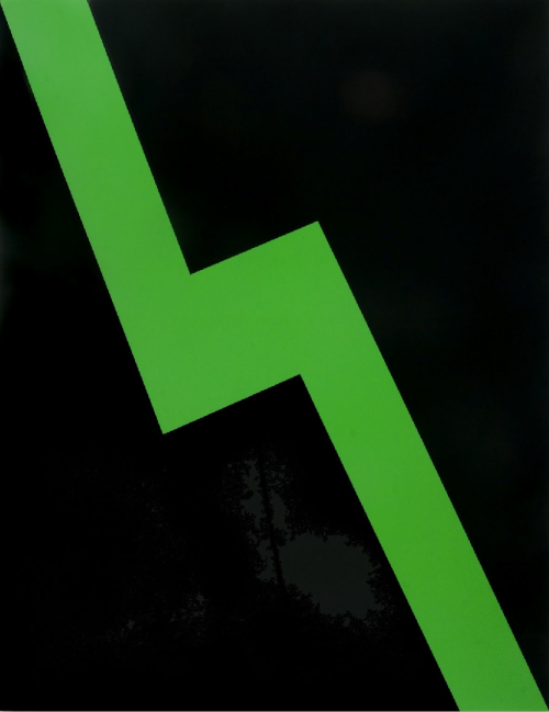 Carmen Herrera, Verde y negro 1995Inter-American Development Bank