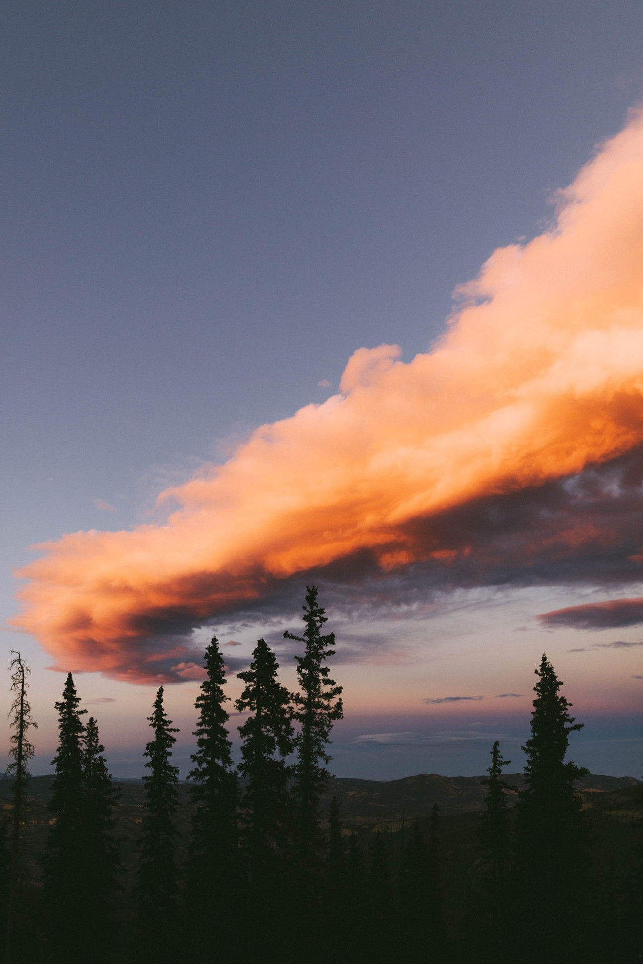 misskim:Short days, long drives.