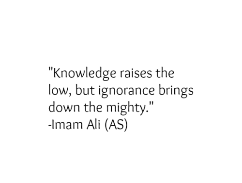 imam ali sayings