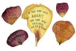 uglyfruit:  mini protest signs on flower petals
