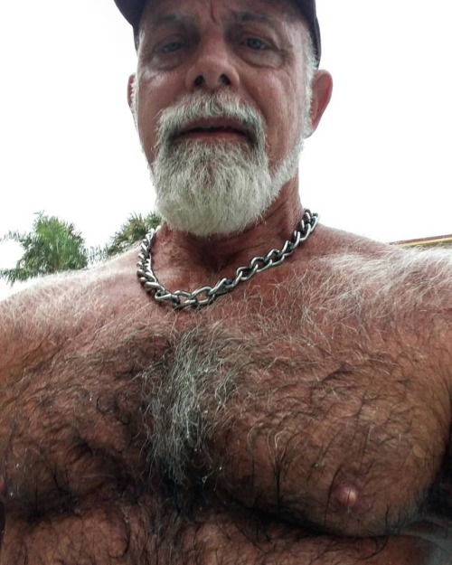 tnmuslman: #hairydaddybear #hairymen #hairydaddy #hairychest #hairymuscle #nipdaddy #nippleslips #ni