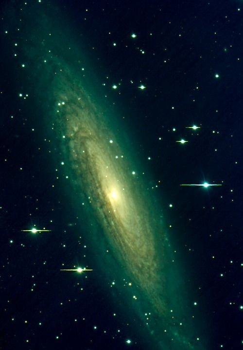 thedemon-hauntedworld:  Spiral galaxy NGC 2613 Captured on February 26, 2002, by