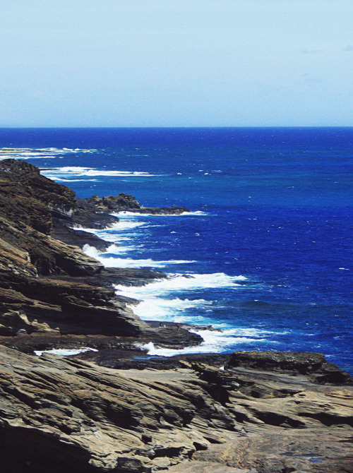 highenoughtoseethesea: Climbing black rock forever along the coastline of Oahu.