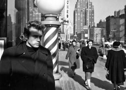 jamesdeaner:   New York overwhelmed me. For the first few weeks I only strayed a couple of blocks from my hotel off Times Square. I would see three movies a day in an attempt to escape my loneliness and depression. I spent 贶 of my limited funds just