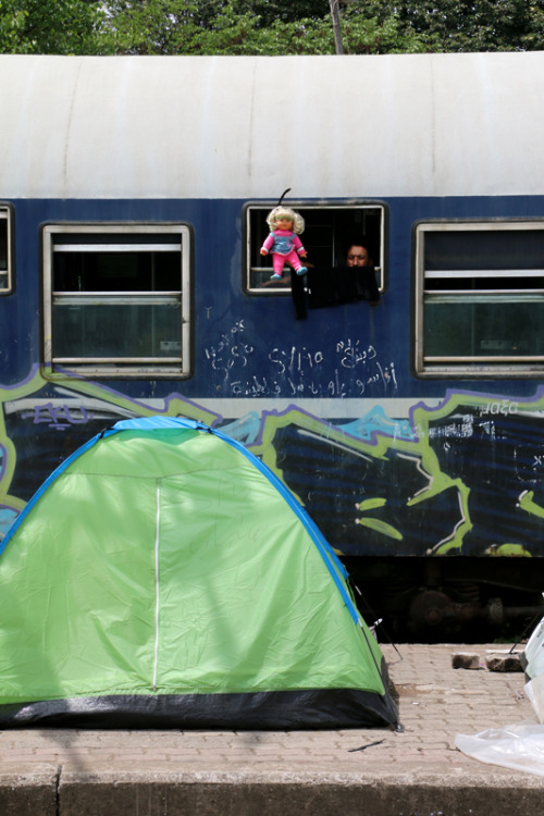 Refugees living inside a train which is left next to the border in Idomeni camp. May 2016