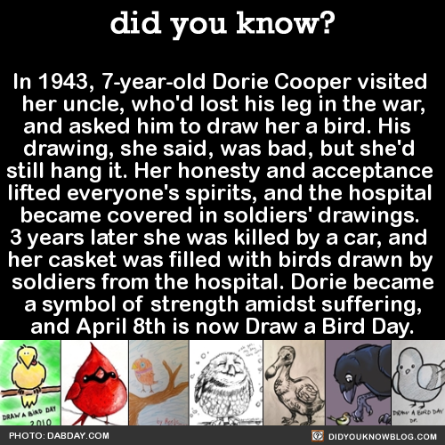 did-you-kno:  did-you-kno:   Fact Source   🕊 🐦 🐤 🐥 🕊  Happy Draw