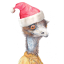 merryemu