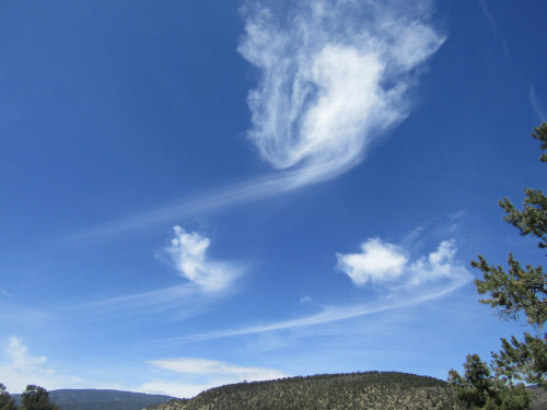 Clouds Leap Free!Apr. 18, 2022Notice how the crafts’ trails cut out where the clouds spiral upward. 