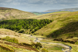 countrywisher:  Forest of Bowland (in Explore)