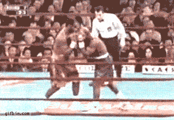vehementmma:     The Matrix Neo referee. Eco-friendly fight gear!    