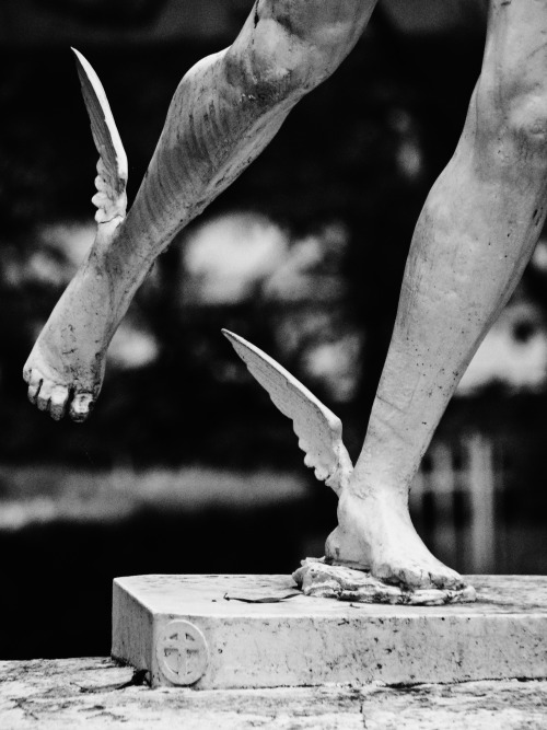 cloudyskiesandcatharsis: Mercury’s Winged Feet, Jardín Botánico, Buenos Aires by