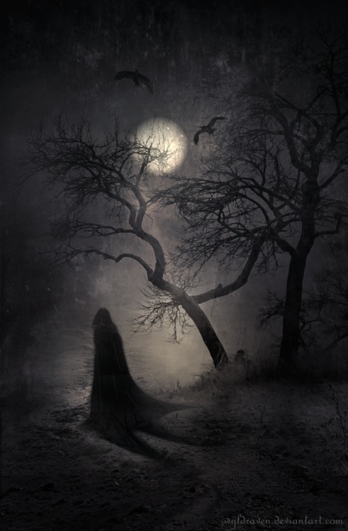Nocturnal Whisperings