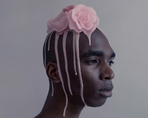 reginasworld: Brooke DiDonato