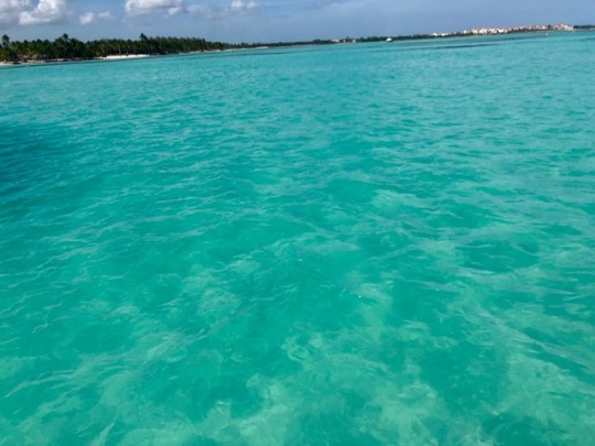 Dominican Republic. I was on a boat this day, snorkled and saw a shark and barracuda. I played in the water and didn’t get out until it was time to leave. A part of my spirit lies there now.