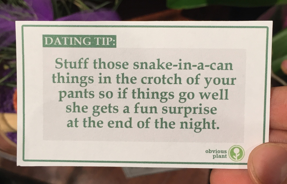 obviousplant:  Free dating advice left in the floral department of a grocery store