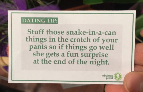 obviousplant:  Free dating advice left in the floral department of a grocery store [see a bonus tip on Facebook] 