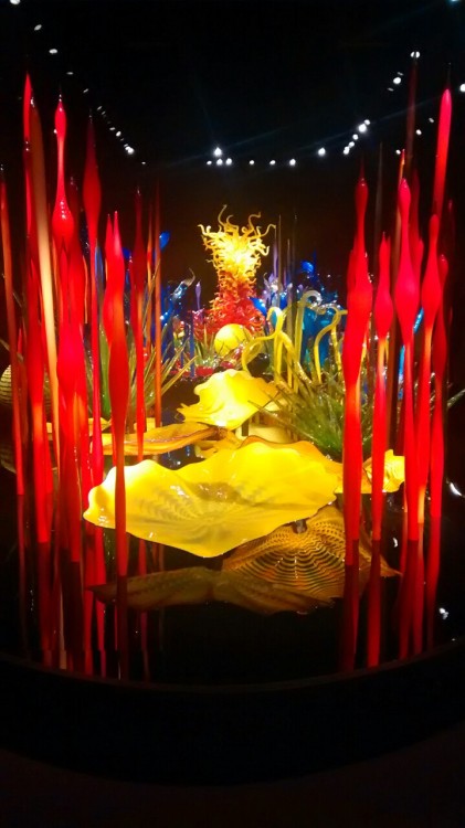 Just loved these glass sculptures guys!! Look at these colors!! 8D
