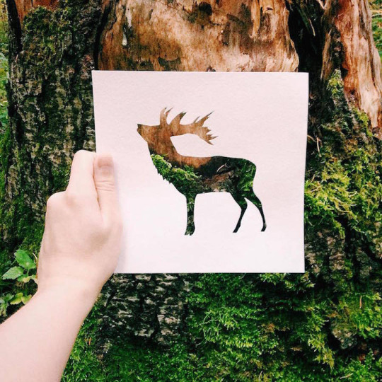 taichi-kungfu-online:  Art is from life! 