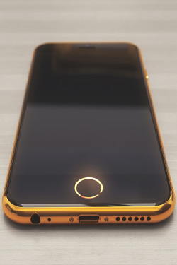 justphamous:  The Gold Concept | JustPhamous