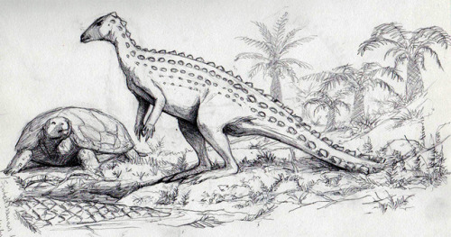 Scutellosaurus and Kayentachelys.