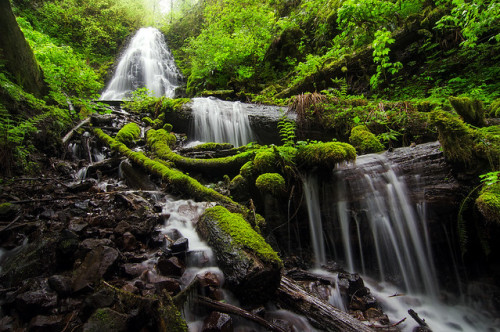 drxgonfly:Fairy Falls & Fairy Falls x 3 (byDavid Pasillas)