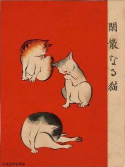 kittehkats:  Quiet Cats (Kansan naru neko),