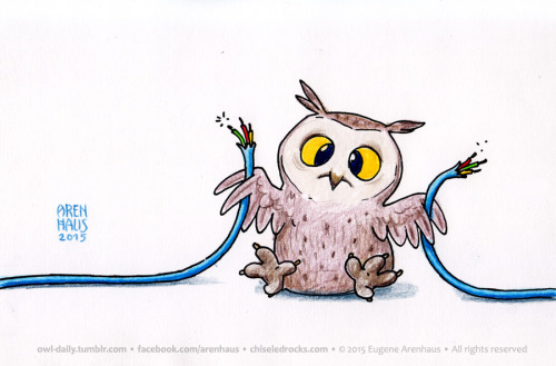 owl-daily:№375: Internet owl. 