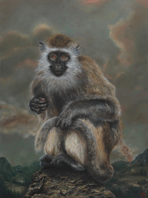 Old World monkey Oil on panel Celene Bridge