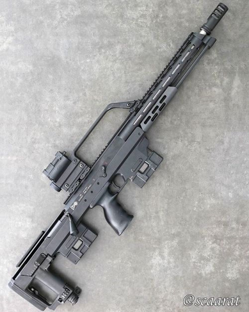 weaponslover:

DSR-1, .308 Winchester 
