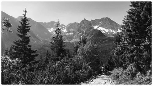 Tatry. . . . #blackandwhite_photos #blackandwhitephotograph #blackandwhitephoto #tatry #tatrywysokie