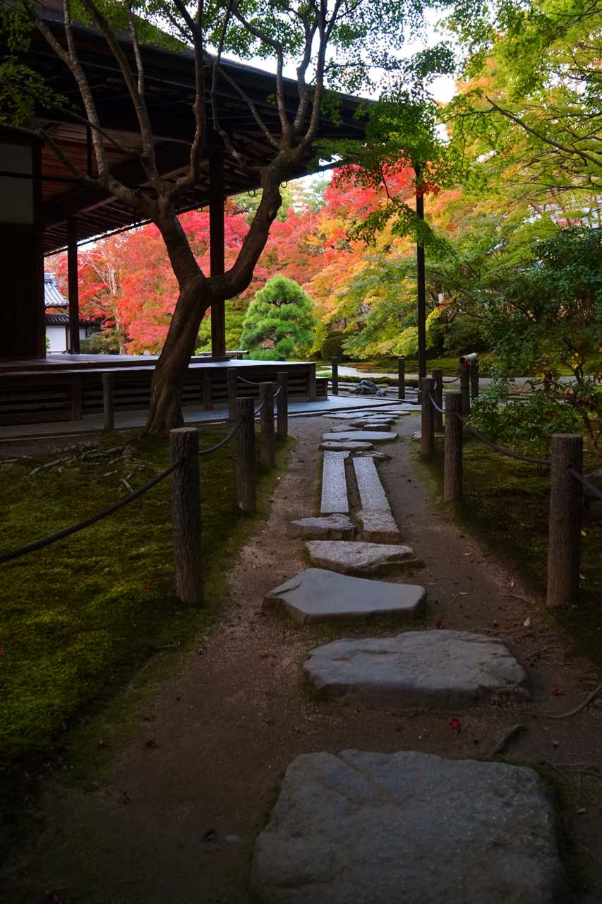 chitaka45:京都 南禅寺 天授庵 🍁紅葉2018🍁 kyoto nanzenji tenjuam temple