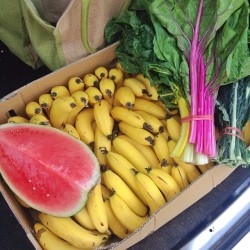 anna-onea:  MARKET DAY. 💐🍉🍌 (at