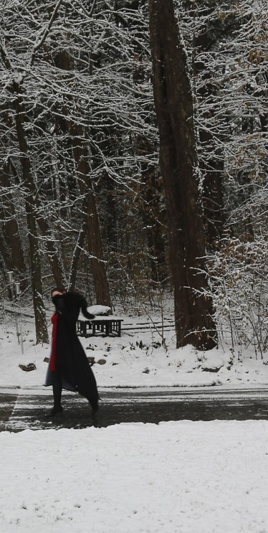 hellenhighwater:Nimitz and I went for a lovely walk this afternoon.