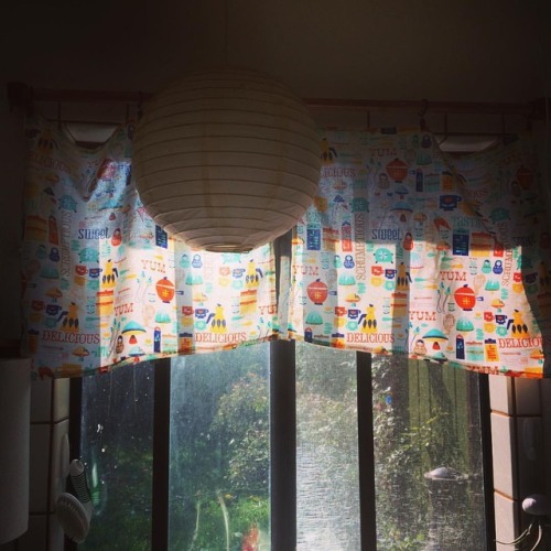 I made little top curtains for over the sink. Now the sun is blocked when you do dinner dishes! They