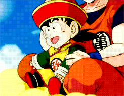 Tenkaichi Budokai