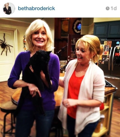 annethecatdetective:  burning-high-rise:  whorishgreen:  whorishgreen:  I’ve never been more emotional about any social media post in my entire life  UPDATE: guys Beth Broderick tweeted yesterday that this Salem is THE SAME SALEM!!! He’s 20 years