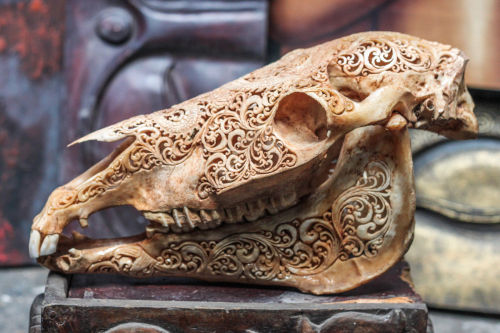 sixpenceee: The above is a hand carved horse skull. 